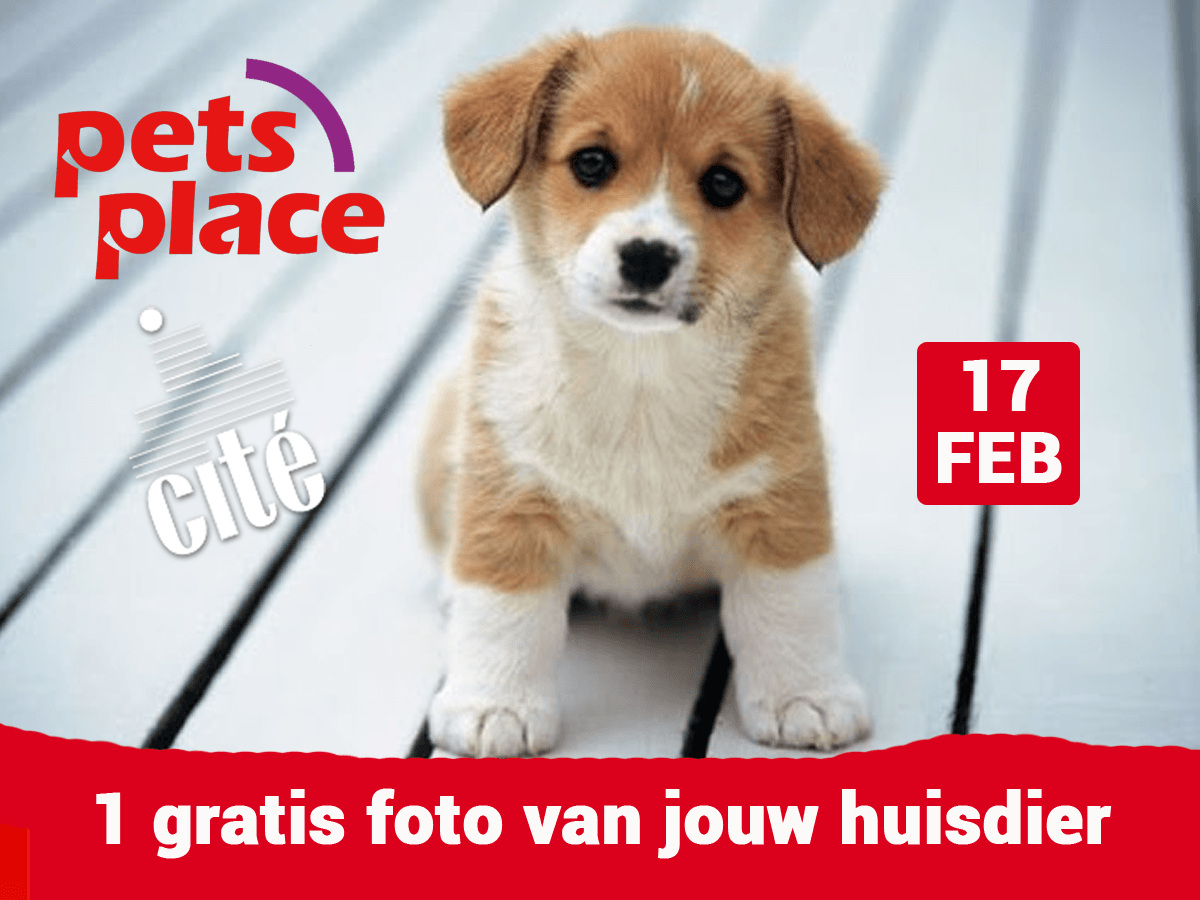 Fotoshoot bij Pets Place week verplaatst