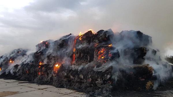 Brandweer Roden ruim 6 uur bezig met blussen buitenbrand