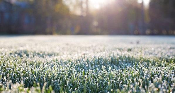 Volgende week 25 graden, vannacht mogelijk vorst