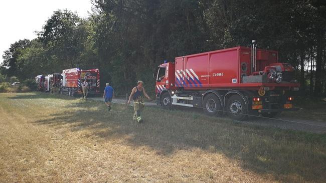 Bosbrand Linieweg Zuidwolde snel bedwongen