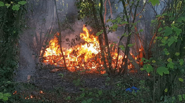 Boomhut in brand gestoken in Assen