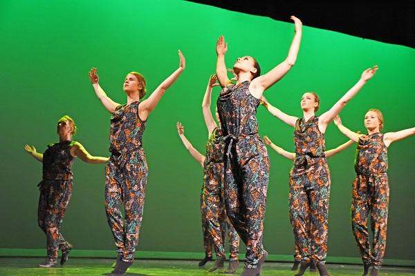 Dansers en danseressen uit de regio Hoogeveen opgelet!