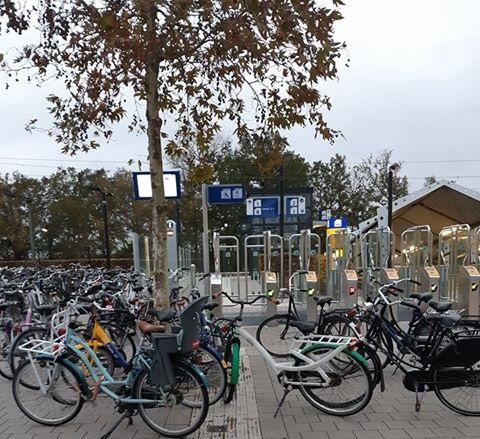 Klachten over fietsen parkeren op blindengeleidestrook station Hoogeveen