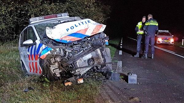 Hondengeleider politie crasht tegen boom; Agent gewond (video)