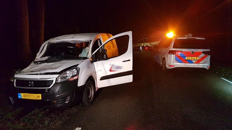 Grote boom valt op rijdende auto; bestuurder overleeft het op haar na