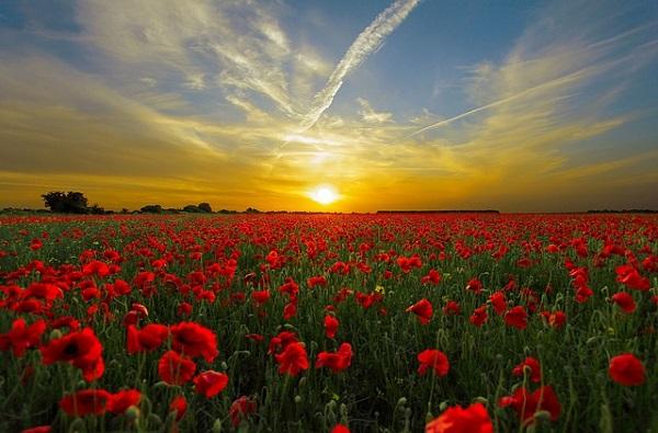 Volgende week mogelijk temperatuurrecords in Nederland