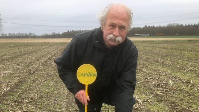 De lente is begonnen: eerste kievitsei is gevonden