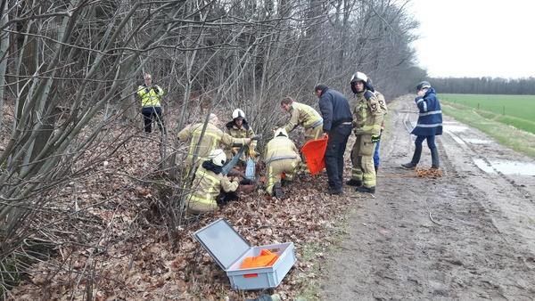 Brandweer redt paard uit sloot