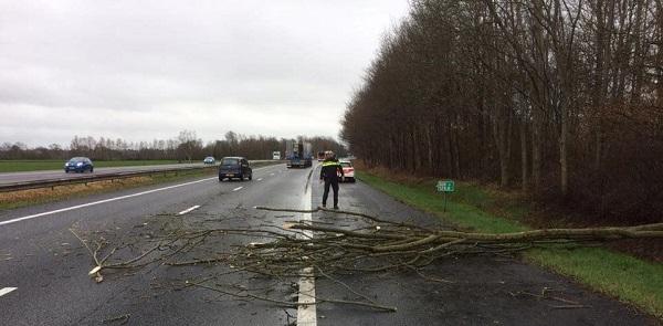 Boom op A28 zorgt voor 2 kilometer file