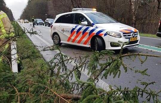 Brandweer in actie voor omgewaaide boom op N34