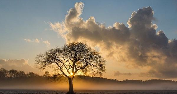 Code geel in Drenthe voor dichte mist