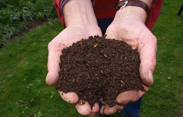 Gratis compost voor inwoners gemeente Emmen op 30 maart