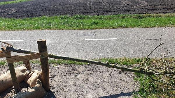 Nieuw geplante bomen na paar weken weer vernield