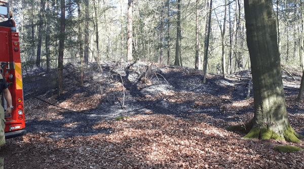 Stuk bos van 30x30 in brand door kampvuur