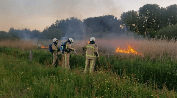 Vermoedelijk brandstichting bij natuurbrand; 3 brandhaarden