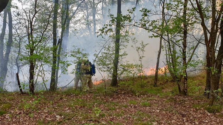 Forse natuurbrand in heidegebied tussen Zeegse en Schipborg