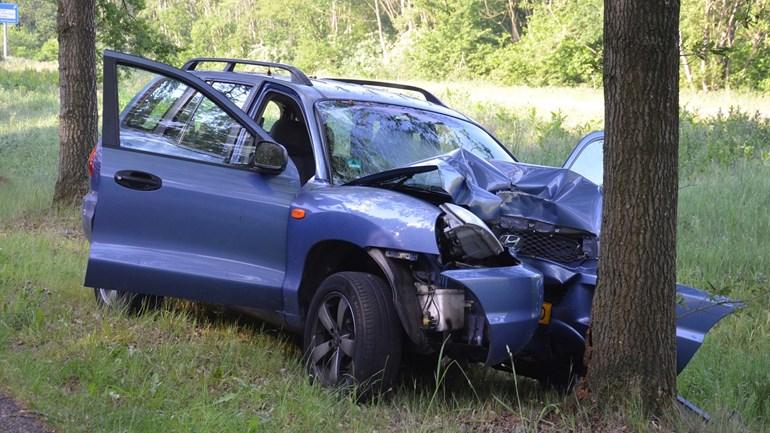 Bestuurder ongedeerd na harde botsing tegen boom