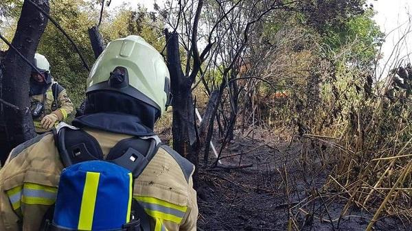 Vrouw raakt gewond bij brand in bosjes