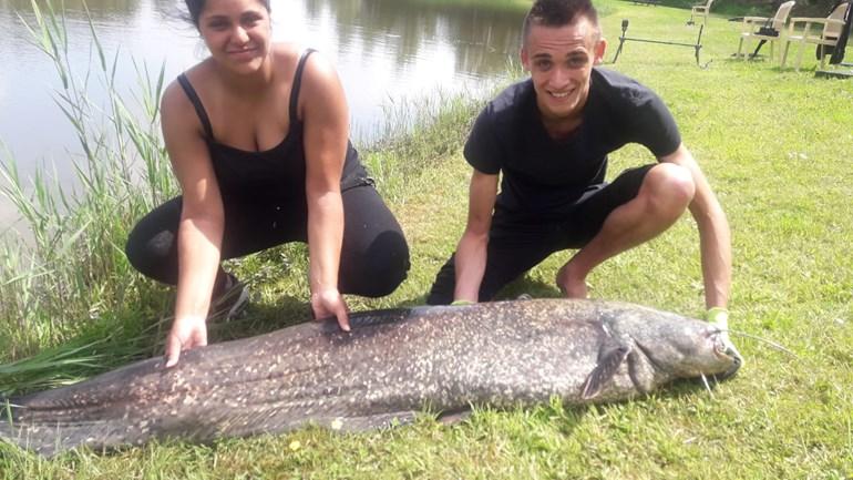 Vissers vangen per ongeluk meerval van 80 kilo