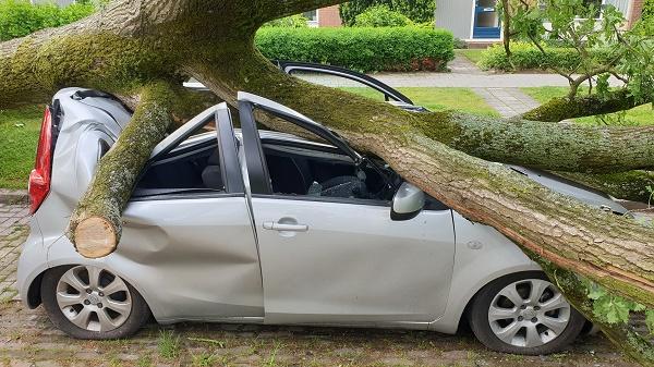 Omgevallen boom plet auto tijdens windhoos