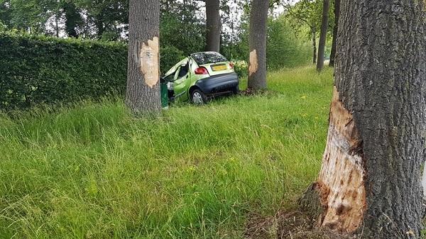 Auto botst tegen drie bomen; Bestuurder gewond