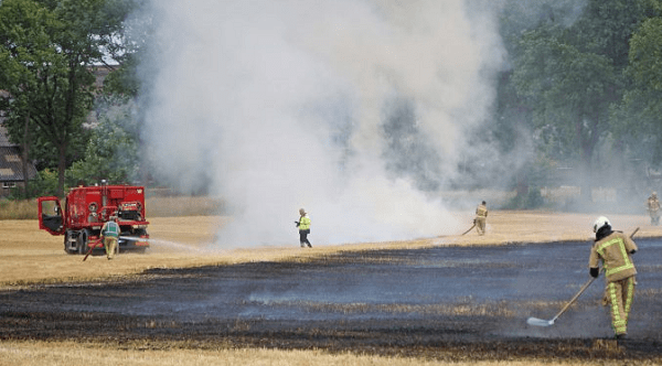 korenveld in vlammen op tijdens oogsten