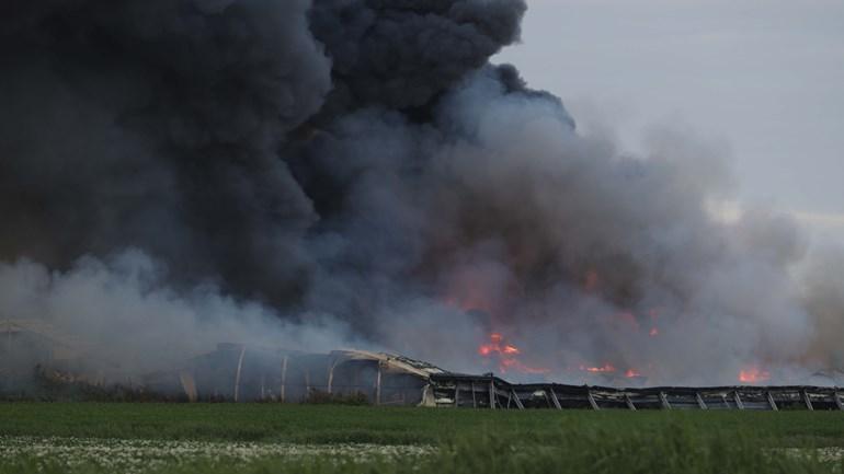 Honderdduizend kippen omgekomen bij grote brand in twee schuren