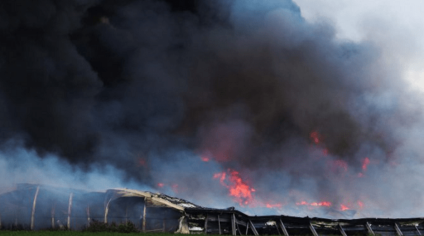 Verdachte van brandstichting schuur met 100.000 kippen meldt zich