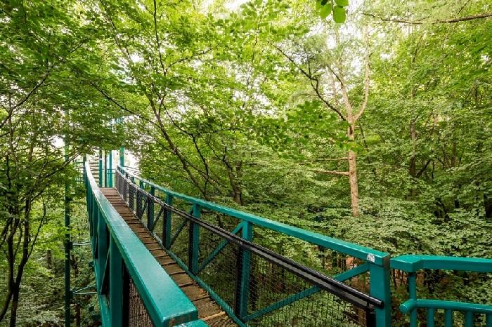 Speelbos bij Boomkroonpad deels afgesloten vanwege virus