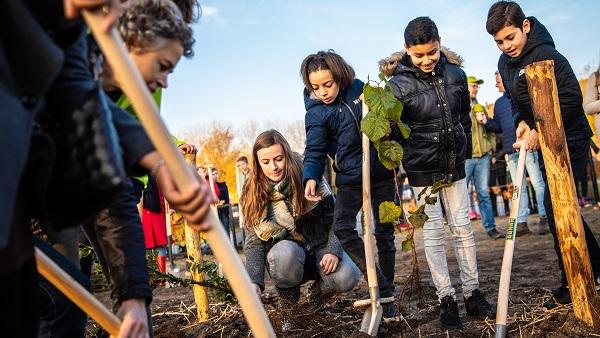 In Drenthe gaan dit plantseizoen duizenden bomen de grond in