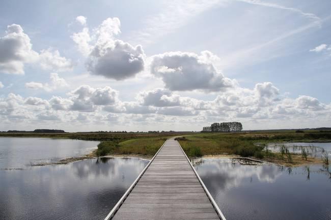 Informatieavond voor omwonenden Tusschenwater