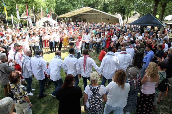 SIVO-festival verhuist naar Borger