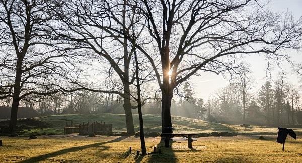 Grootste banen-event komt naar Rensenpark Emmen