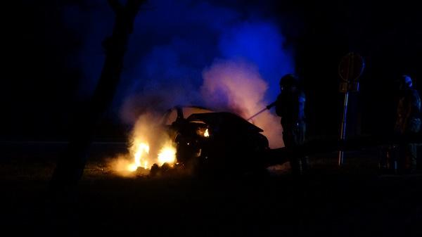 Auto botst tegen boom en vliegt in brand (video)
