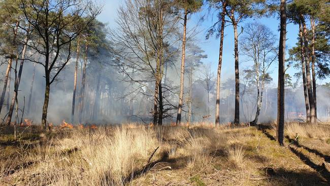 Zeer grote brand in Mensingebos bij Alteveer