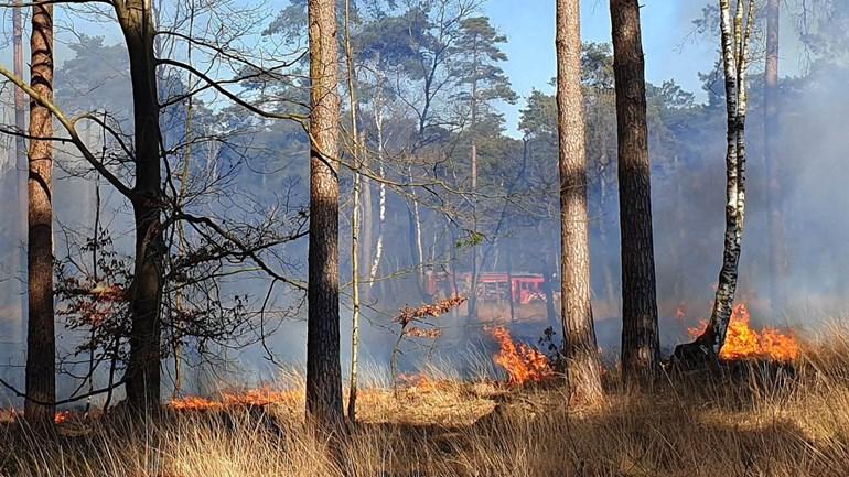 Politie zoekt getuigen van zeer grote natuurbrand Alteveer