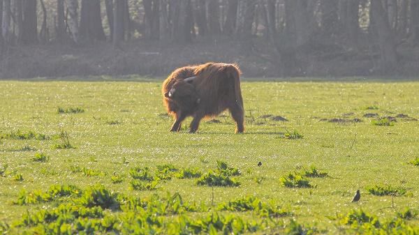 Drentse natuur is open: geef elkaar en de natuur de ruimte