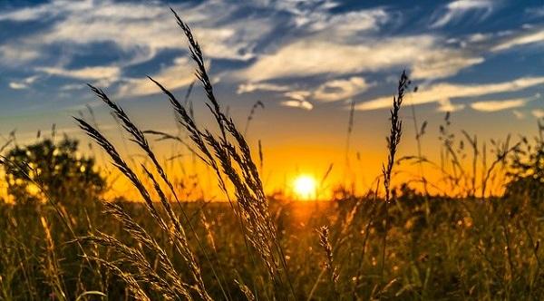 Beleef de Europese Dag van het Nationaal Park in Drenthe online