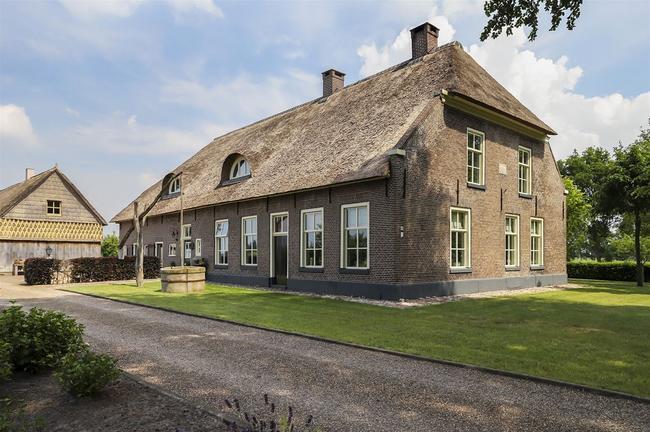 Te koop in Drenthe: vrijstaande woonboerderij omgeven door oude beukenbomen