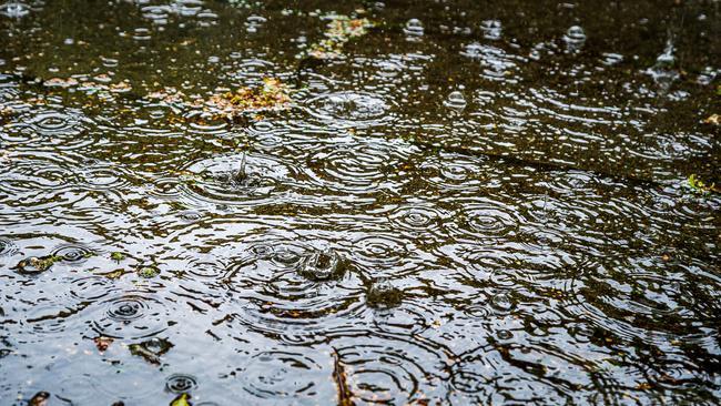 KNMI geeft code geel vanwege zware windstoten op woensdag