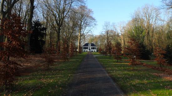 Onderhoud aan de bomen van de Maatschappij van Weldadigheid