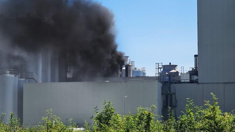 NL-Alert vanwege zeer grote brand in kaasfabriek (video)