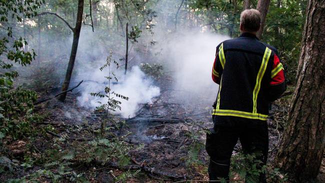 Opnieuw brand in bos Emmen