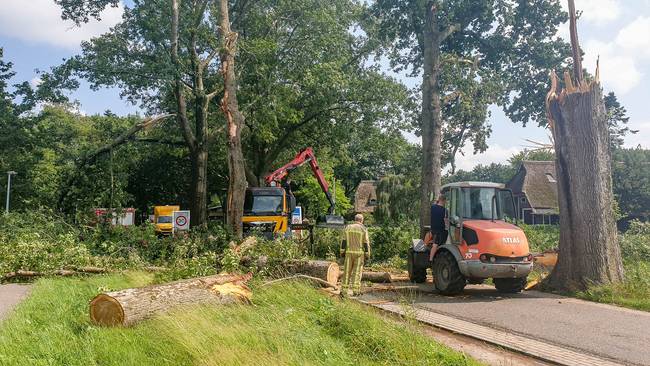 Veel schade aan bomen door windhoos bij Balloo