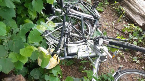 Politie treft fietsen aan in bosjes Hoogeveen