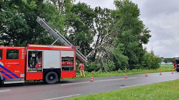 Brandweer zaagt gevaarlijk hangende boom neer langs N386