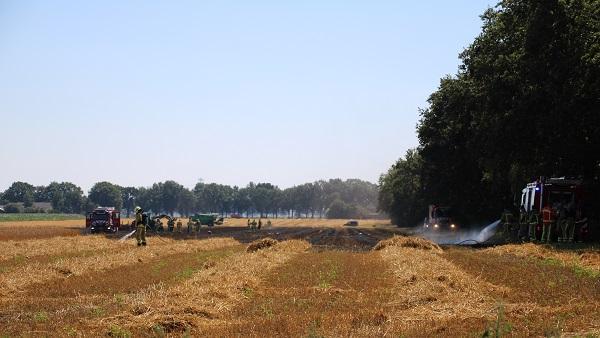 Snelle inzet brandweer voorkomt grote brand in korenveld (video)