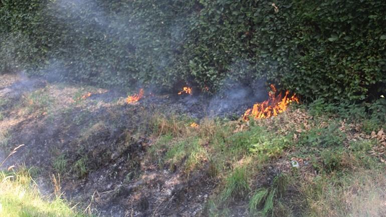 Brandweer heeft bermbrand snel onder controle in klazienaveen