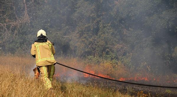 Brandweer weet bosbrand te voorkomen door snel optreden (video)