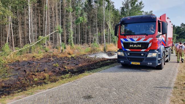 Brandweer blust natuurbrandje in Ees (Video)